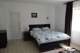 Дома для отпуска Casa Antonia Busteni Буштени Дом с 2 спальнями-18