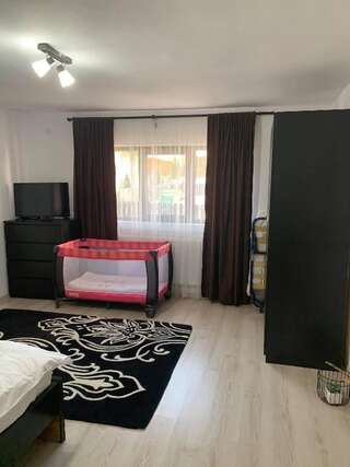 Дома для отпуска Casa Antonia Busteni Буштени Дом с 2 спальнями-44